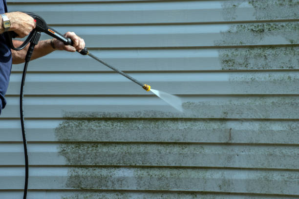 Best Roof Washing  in Bayport, NY
